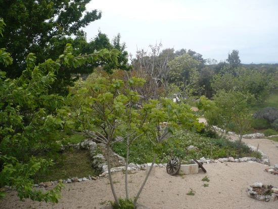 Domek Ostrov Cres - Cres OS 10434 N1