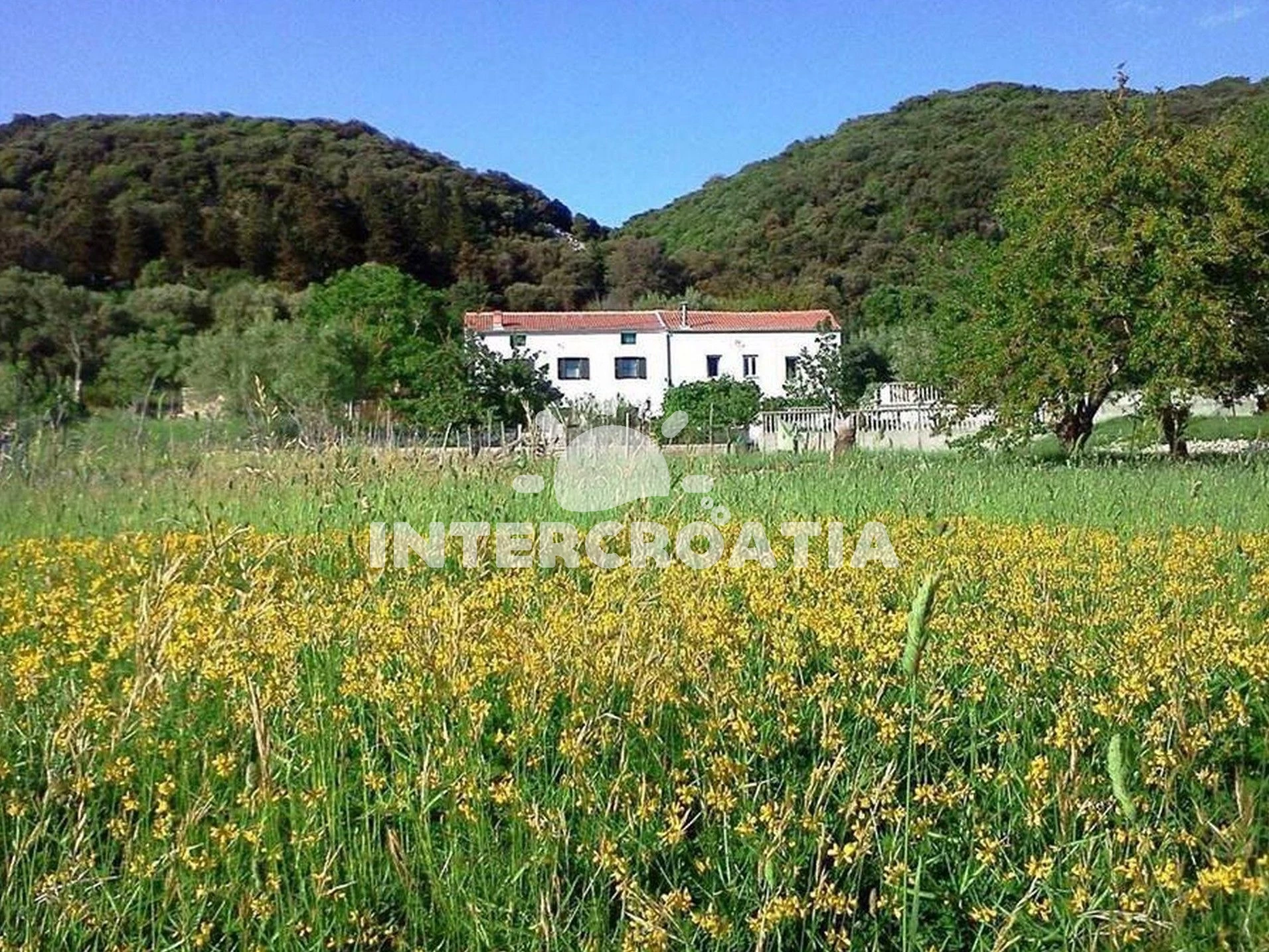 Domek Ostrov Rab - Supetarska Draga OS 10439 N1