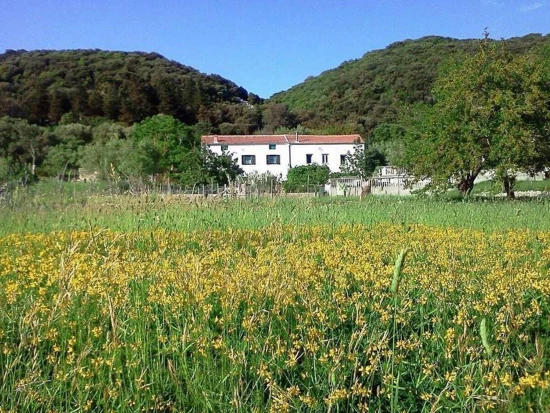 Domek Ostrov Rab - Supetarska Draga OS 10439 N1