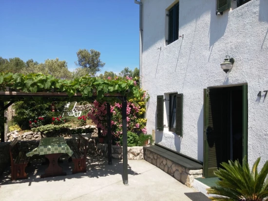 Domek Ostrov Rab - Supetarska Draga OS 10439 N1