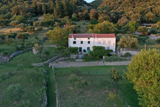 Domek Ostrov Rab - Supetarska Draga OS 10439 N1