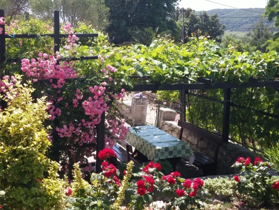 Domek Ostrov Rab - Supetarska Draga OS 10439 N1