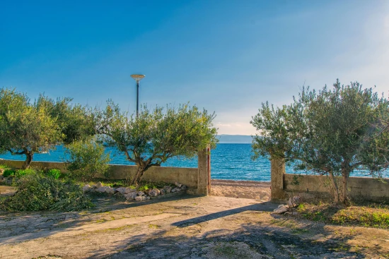 Apartmán Střední Dalmácie - Podstrana DA 8654 N1