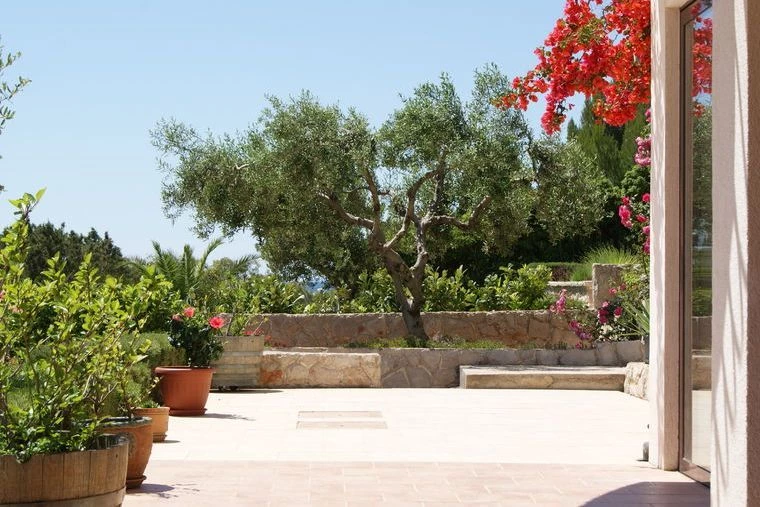 Apartmán Ostrov Hvar - Zavala OS 10456 N1