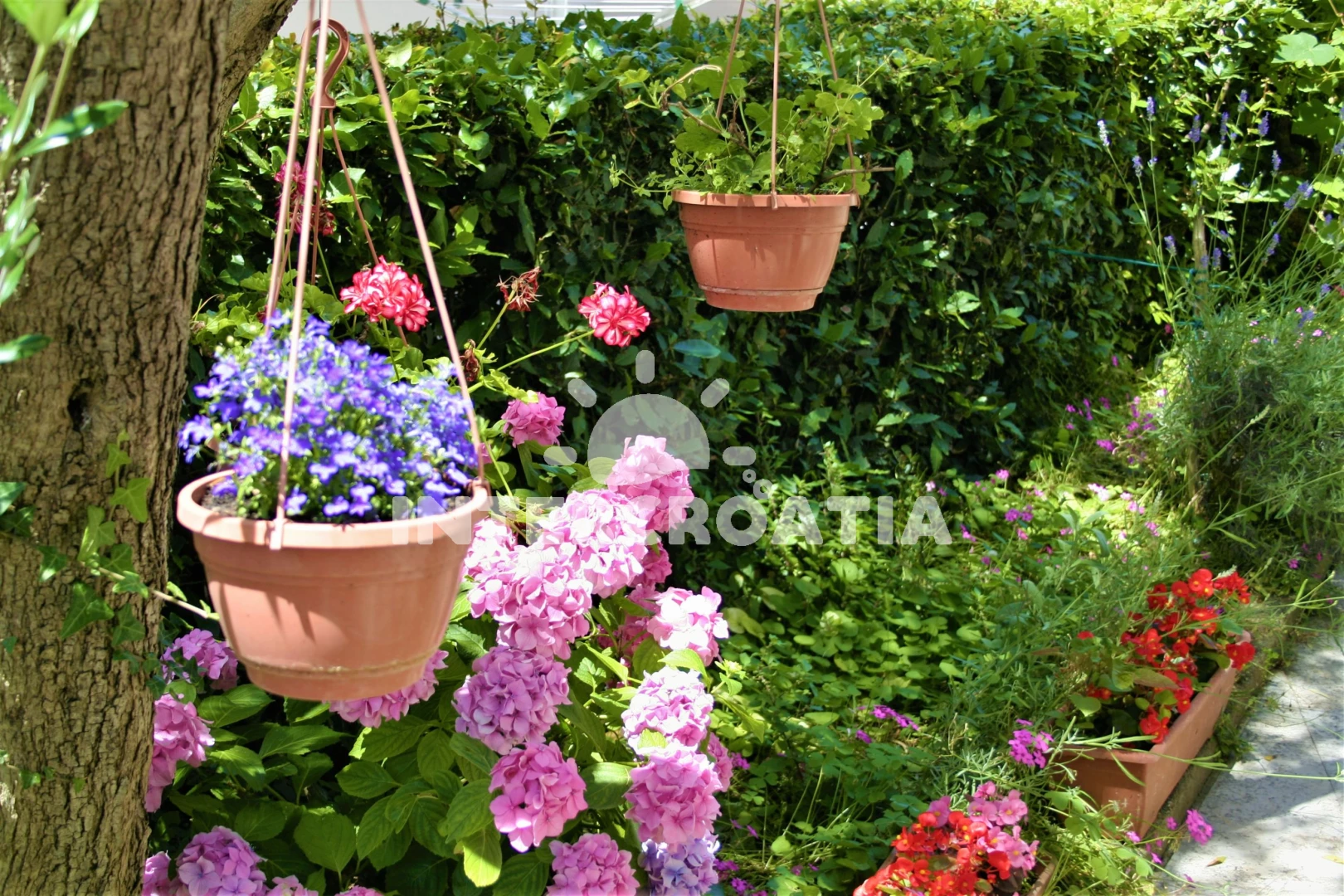 Apartmán Ostrov Krk - Krk OS 10458 N2