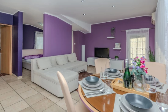 Apartmán Ostrov Vir - Vir OS 10459 N3