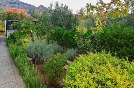 Apartmán Jižní Dalmácie - Orebić DA 8672 N1