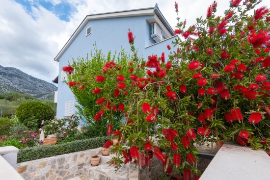 Apartmán Jižní Dalmácie - Orebić DA 8672 N1