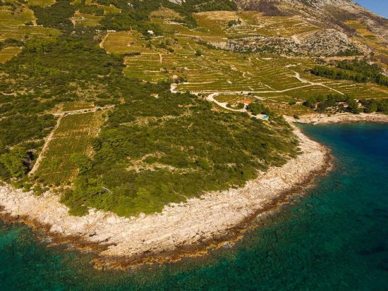 Domek Jižní Dalmácie - Dingac Borak DA 8674 N1