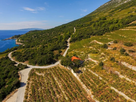 Domek Jižní Dalmácie - Dingac Borak DA 8674 N1