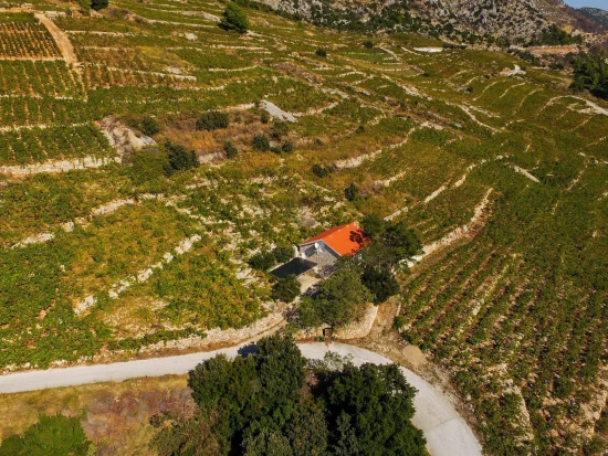 Domek Jižní Dalmácie - Dingac Borak DA 8674 N1