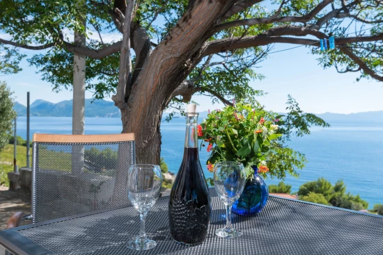 Domek Jižní Dalmácie - Dingac Borak DA 8674 N1