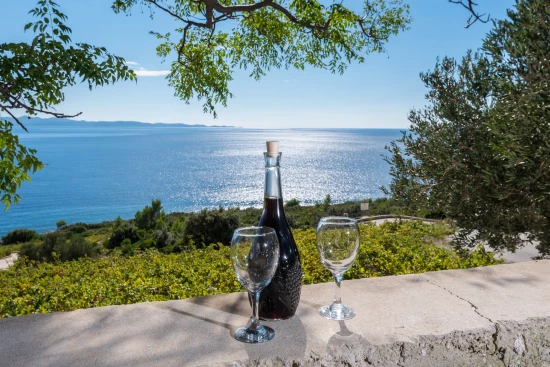 Domek Jižní Dalmácie - Dingac Borak DA 8674 N1