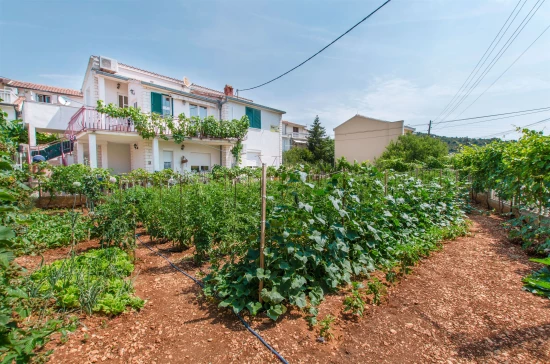 Apartmán Střední Dalmácie - Poljica DA 8681 N3