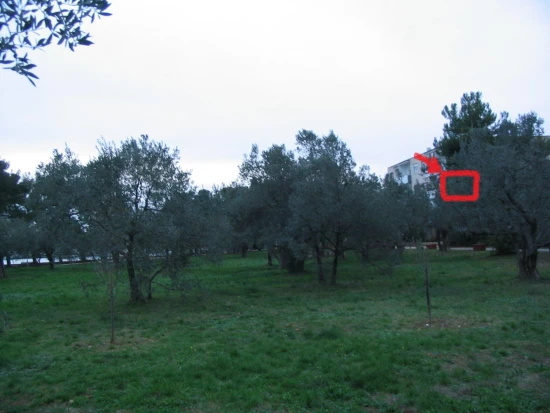 Apartmán Istrie - Fažana IS 7214 N1