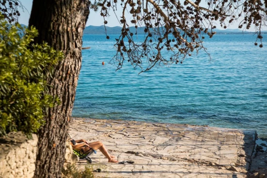 Apartmán Severní Dalmácie - Petrčane DA 8684 N1