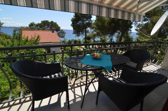 Apartmán Severní Dalmácie - Petrčane DA 8684 N1