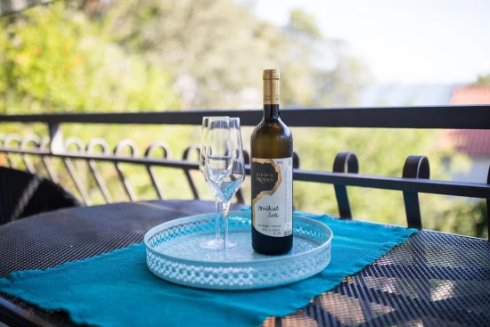 Apartmán Severní Dalmácie - Petrčane DA 8684 N1