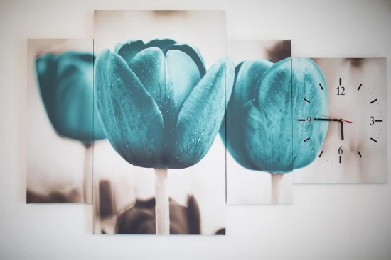 Apartmán Severní Dalmácie - Petrčane DA 8684 N1