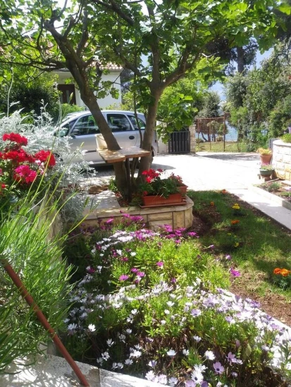 Apartmán Severní Dalmácie - Petrčane DA 8684 N3