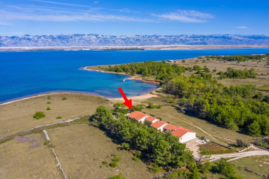 Apartmán Ostrov Vir - Vir OS 10470 N1