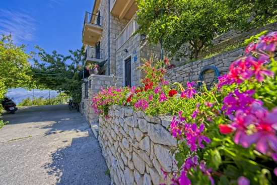 Apartmán Ostrov Brač - Postira OS 10472 N1