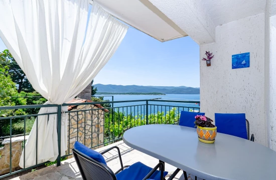 Apartmán Jižní Dalmácie - Klek DA 8698 N3