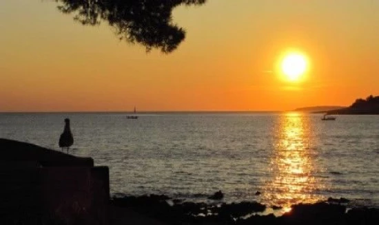 Apartmán Ostrov Lošinj - Mali Lošinj OS 10480 N6