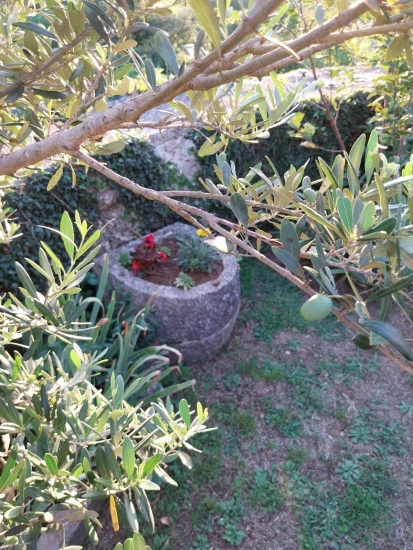 Domek Istrie - Labin (Rabac) IS 7217 N1