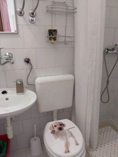 Domek Istrie - Labin (Rabac) IS 7217 N1