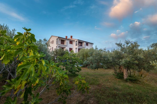 Apartmán Istrie - Fažana IS 7218 N1