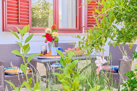Apartmán Istrie - Fažana IS 7218 N1