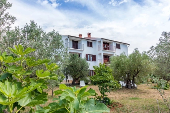 Apartmán Istrie - Fažana IS 7218 N2