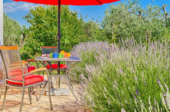 Apartmán Istrie - Fažana IS 7218 N4