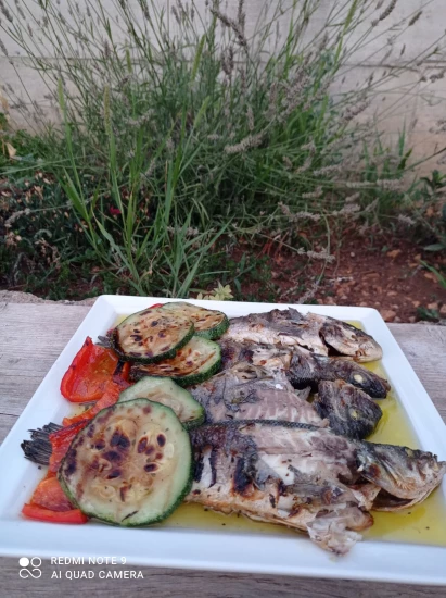 Apartmán Ostrov Korčula - Brna OS 10480 N3