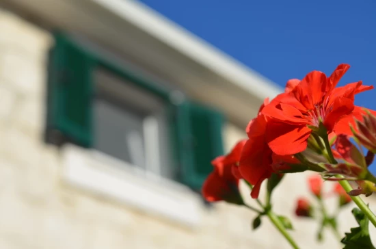 Domek Střední Dalmácie - Okrug Gornji DA 8708 N1