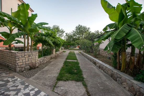 Apartmán Severní Dalmácie - Starigrad Paklenica DA 8716 N4