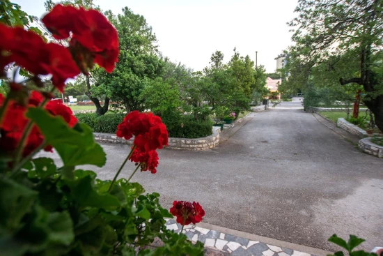 Apartmán Severní Dalmácie - Starigrad Paklenica DA 8716 N4