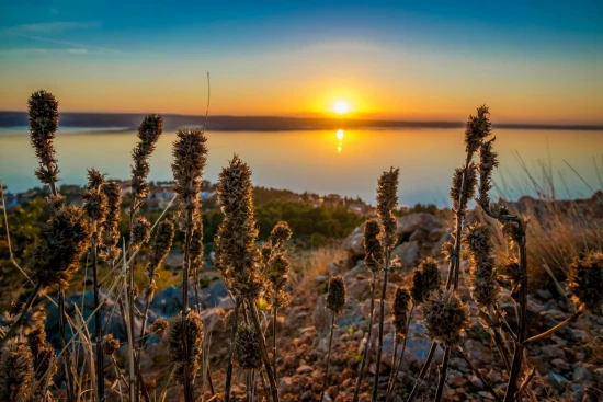 Apartmán Severní Dalmácie - Starigrad Paklenica DA 8716 N4