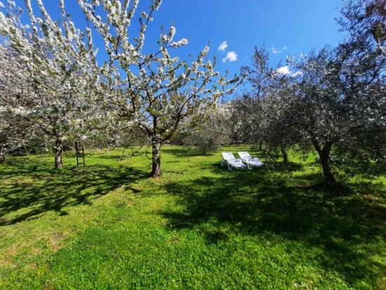 Domek Istrie - Tinjan IS 7220 N1