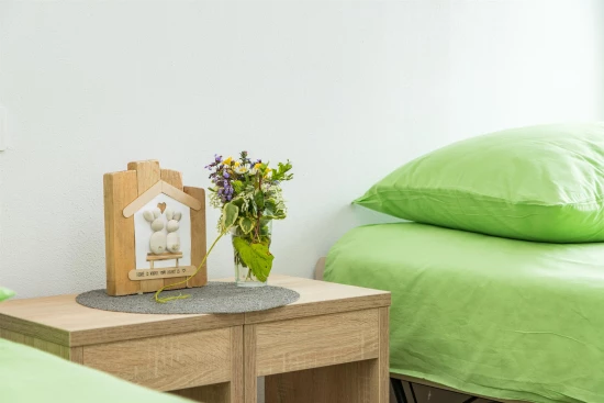 Vila Istrie - Tinjan IS 7224 N1