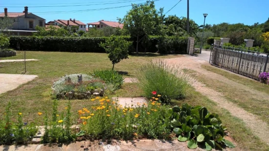 Apartmán Istrie - Rovinjsko Selo (Rovinj) IS 7226 N1