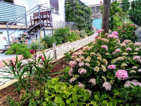 Apartmán Istrie - Rovinjsko Selo (Rovinj) IS 7226 N1