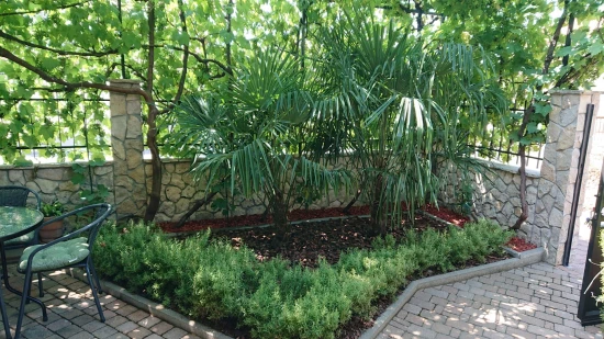 Apartmán Severní Dalmácie - Zablaće DA 8734 N1