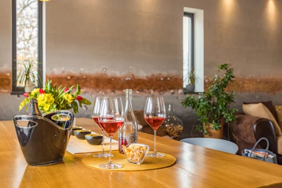 Apartmán Istrie - Umag IS 7230 N1