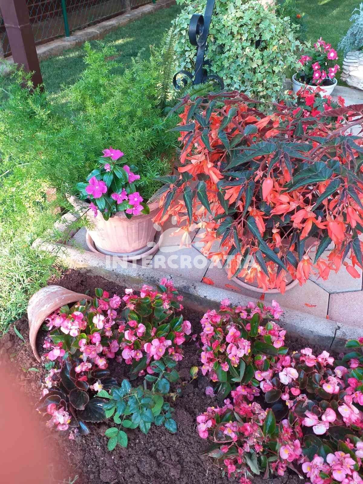 Apartmán Istrie - Umag IS 7232 N1