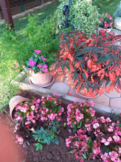 Apartmán Istrie - Umag IS 7232 N1