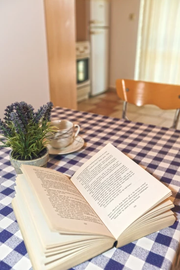 Apartmán Ostrov Hvar - Ivan Dolac OS 10502 N5