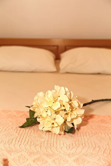 Apartmán Ostrov Hvar - Ivan Dolac OS 10502 N5