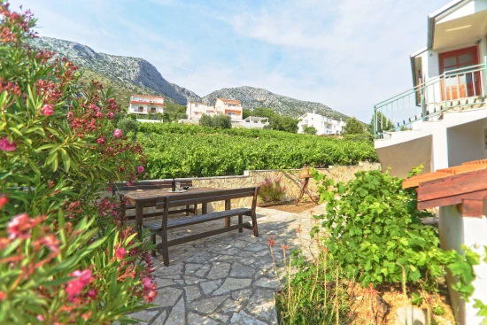 Apartmán Ostrov Hvar - Ivan Dolac OS 10502 N6